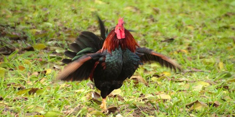 Chọn đúng thời điểm cược