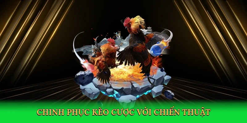 Chinh phục kèo cược với chiến thuật