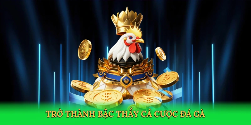 Trở thành bậc thầy cá cược đá gà