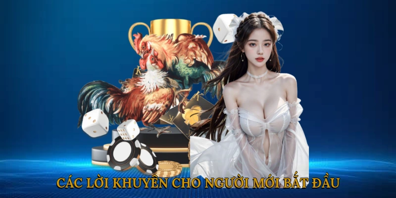 Các lời khuyên cho người mới bắt đầu với đá gà cựa sắt