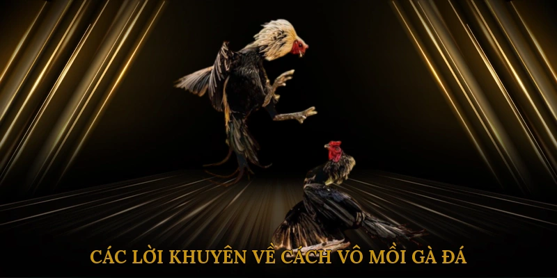 Các Lời Khuyên Về Cách Vô Mồi Gà Đá