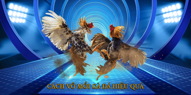 Cách Vô Mồi Gà Đá Hiệu Quả