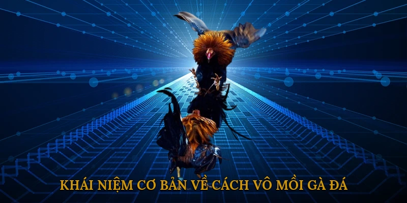 Khái Niệm Cơ Bản Về Cách Vô Mồi Gà Đá
