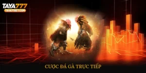Cược Đá Gà Trực Tiếp