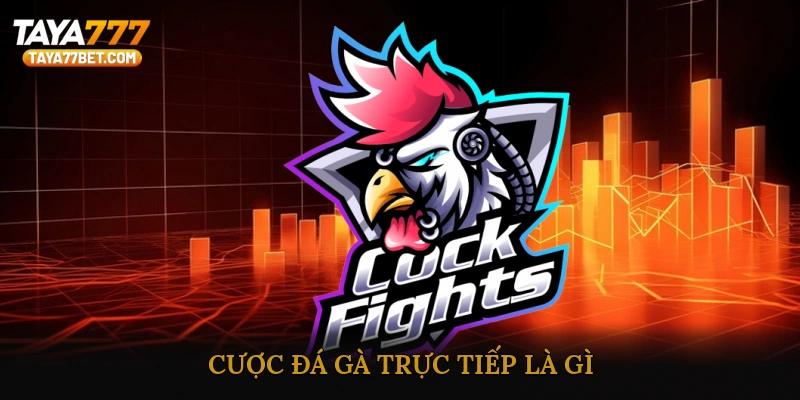 Cược Đá Gà Trực Tiếp Là Gì?