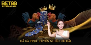 Đá gà trực tuyến