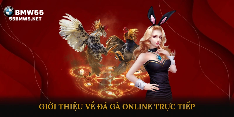 Giới thiệu về đá gà online trực tiếp