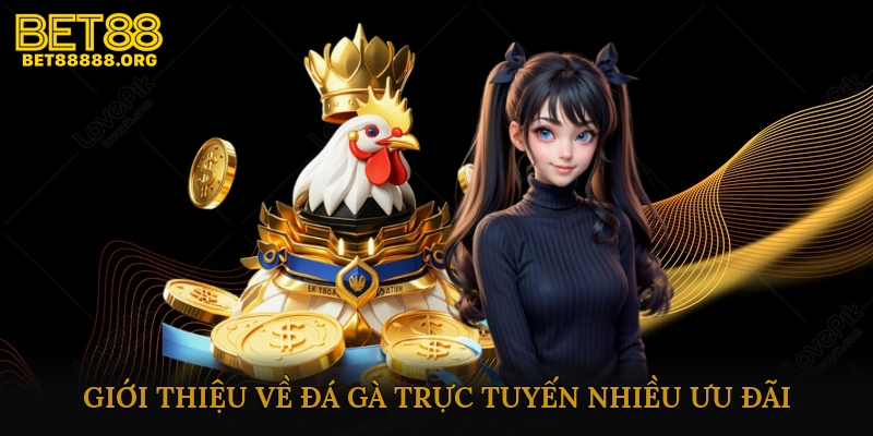 Giới thiệu về đá gà trực tuyến nhiều ưu đãi