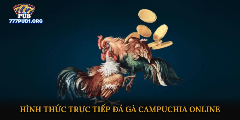 Hình thức trực tiếp đá gà Campuchia online