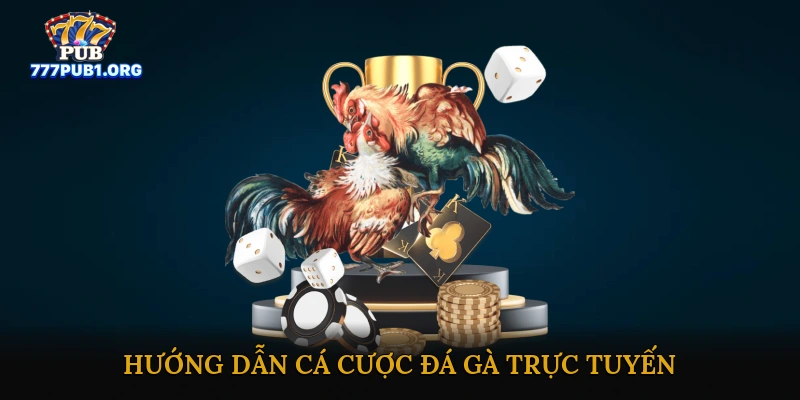 Hướng dẫn cá cược đá gà trực tuyến