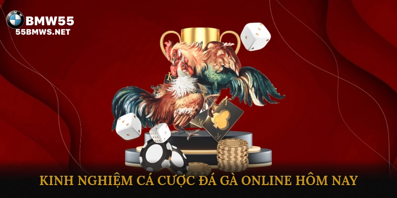 Kinh nghiệm cá cược đá gà online hôm nay