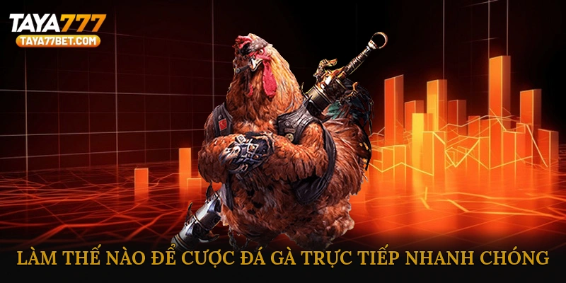 Làm Thế Nào Để Cược Đá Gà Trực Tiếp Nhanh Chóng?
