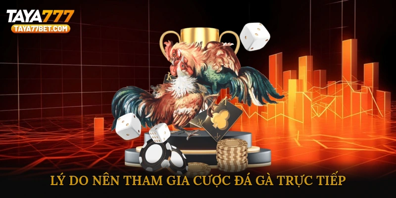 Lý Do Nên Tham Gia Cược Đá Gà Trực Tiếp
