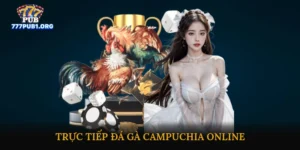 Trực tiếp đá gà Campuchia online