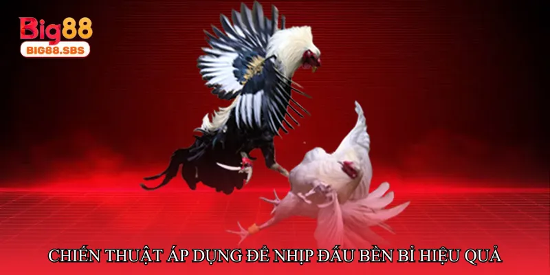 Chiến thuật áp dụng để nhịp đấu bền bỉ hiệu quả