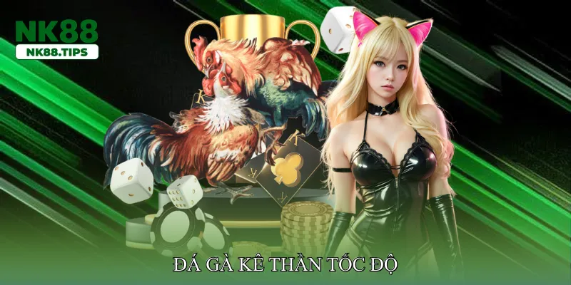 đá gà kê thần tốc độ
