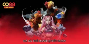 Đá gà thế đánh quyết đoán