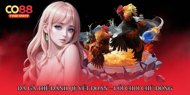 Đá gà thế đánh quyết đoán – Lối chơi chủ động dẫn dắt thế trận