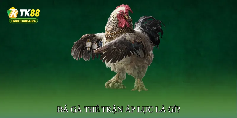 Đá Gà Thế Trận Áp Lực Là Gì?