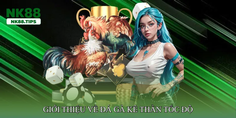 Giới thiệu về đá gà kê thần tốc độ