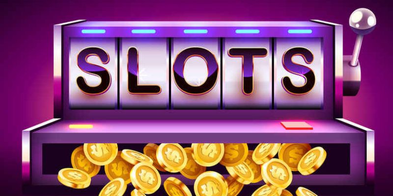 code-no-hu-mien-phi-ly-do