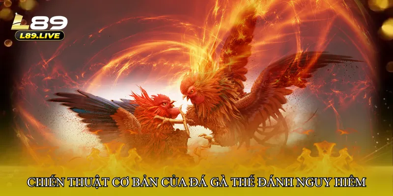 Chiến thuật cơ bản của Đá gà thế đánh nguy hiểm