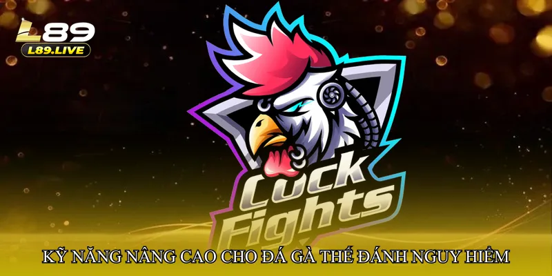 Kỹ năng nâng cao cho Đá gà thế đánh nguy hiểm