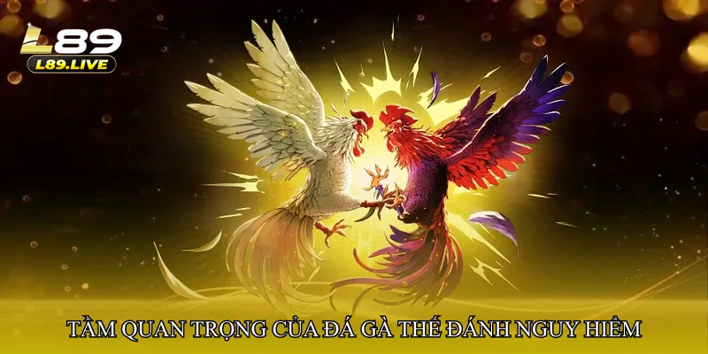 Tầm quan trọng của Đá gà thế đánh nguy hiểm