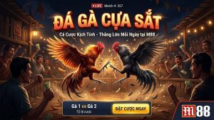 da-ga-cua-sat-tai-m88-co-gi-thu-hut